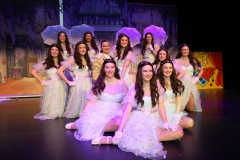 Heimatbuehne-Showtanz-2